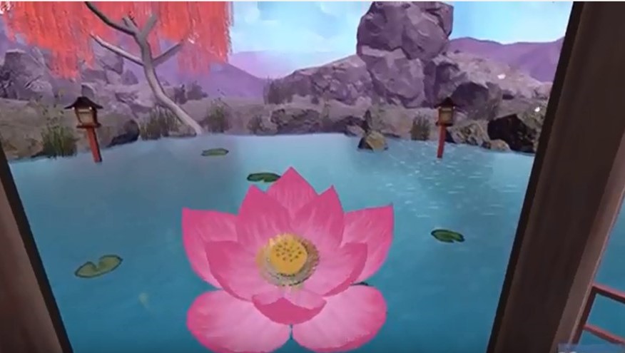 Lotus Pond Screen Image