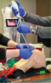 Annual Airway Workshop